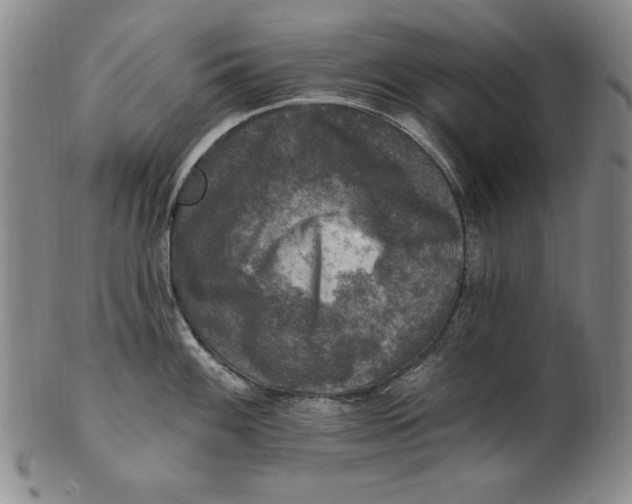 X0000101971100200808081545