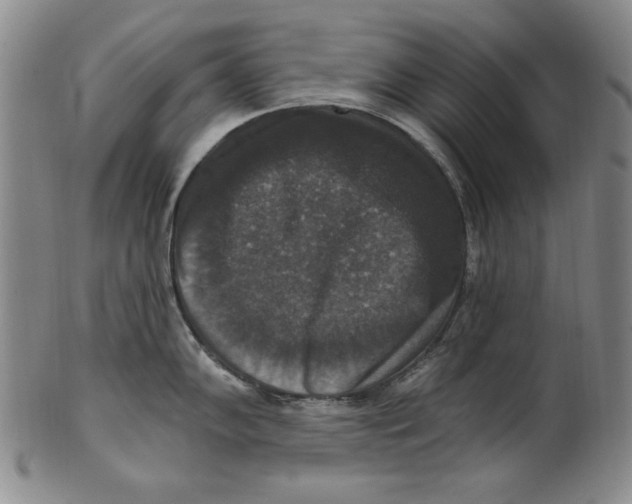 X0000101971102200808081545