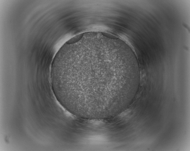 X0000101971103200808081545