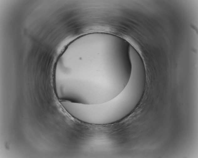 X0000101971104200808081545