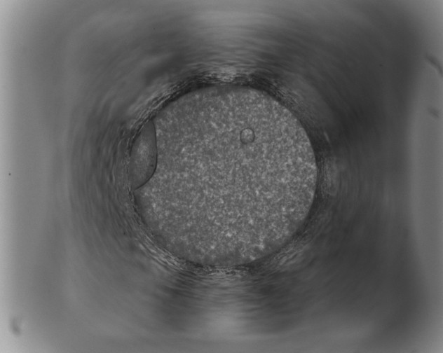 X0000101971105200808081545