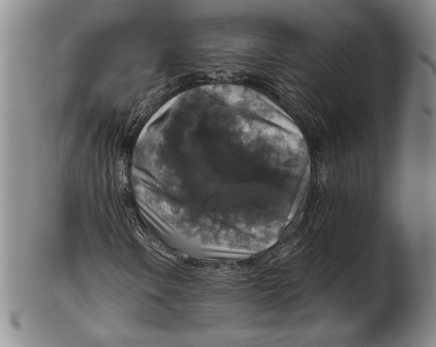 X0000101971106200808081545