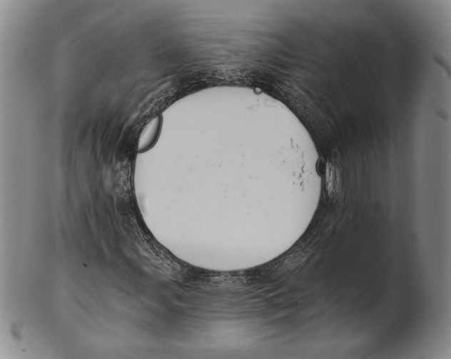 X0000101971107200808081545