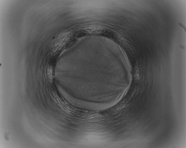 X0000101971108200808081545