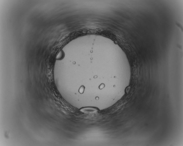 X0000101971109200808081545