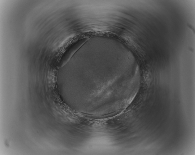 X0000101971110200808081545