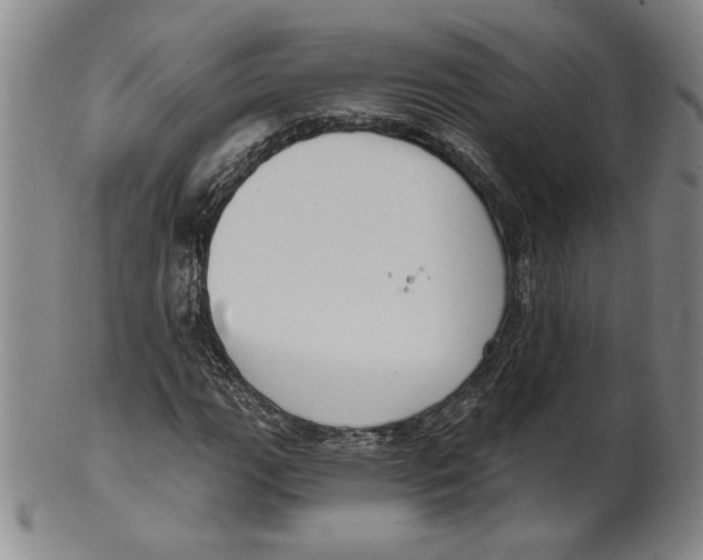 X0000101971111200808081545