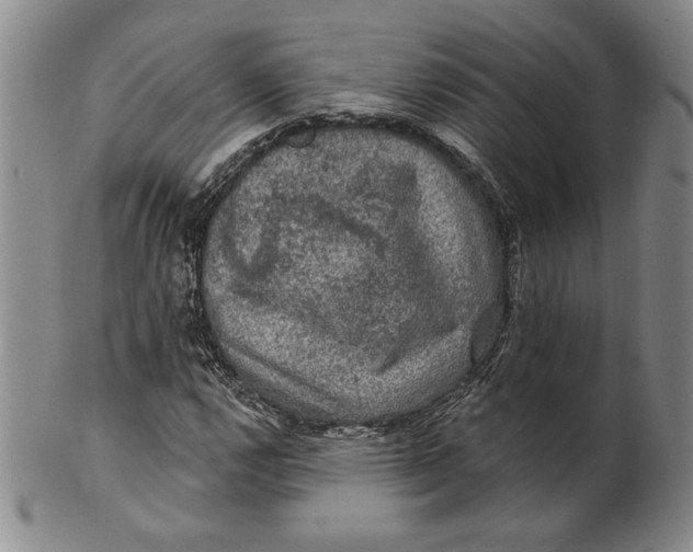 X0000101971112200808081545