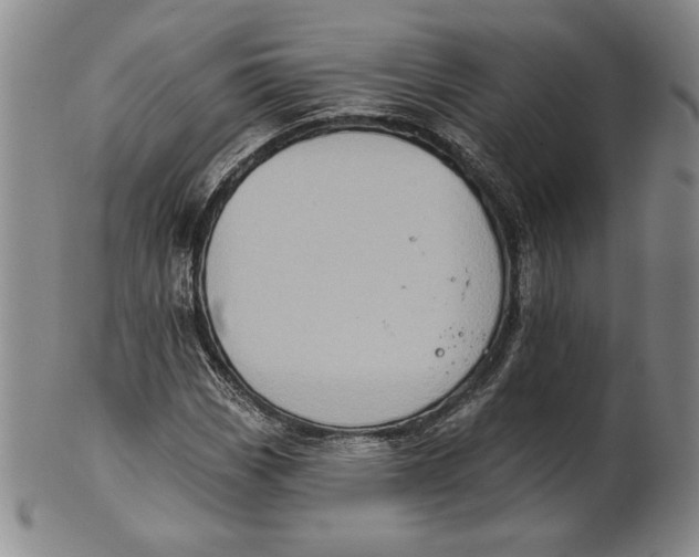 X0000101971113200808081545