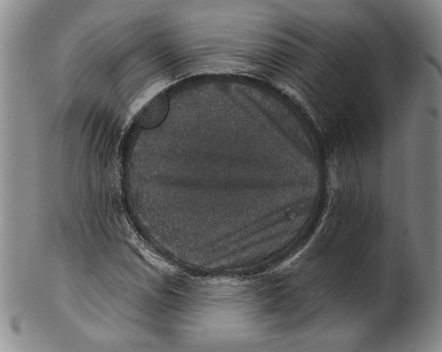 X0000101971114200808081545