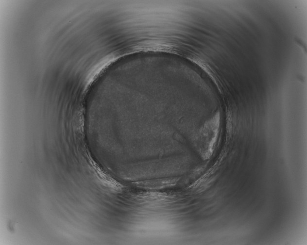 X0000101971115200808081545