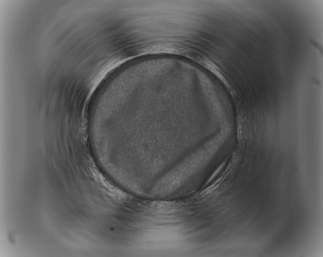 X0000101971116200808081545