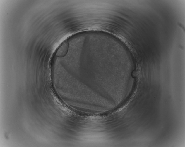 X0000101971118200808081545