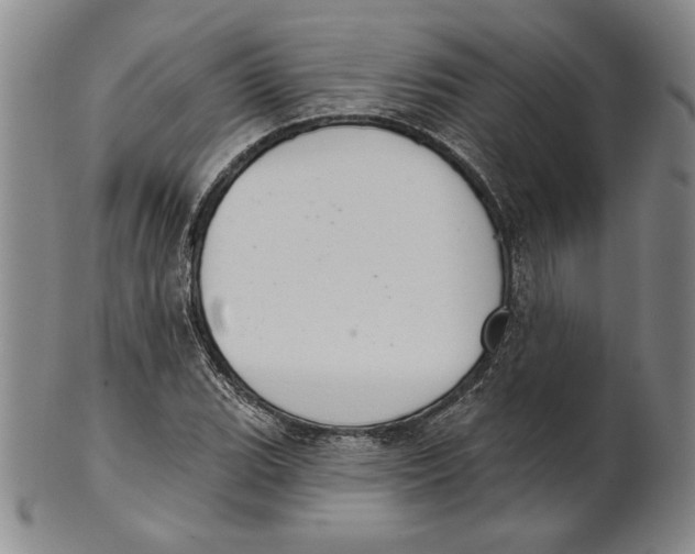 X0000101971119200808081545