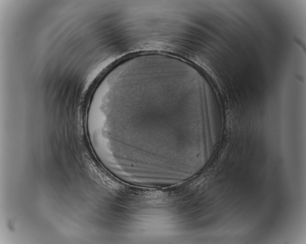 X0000101971120200808081545