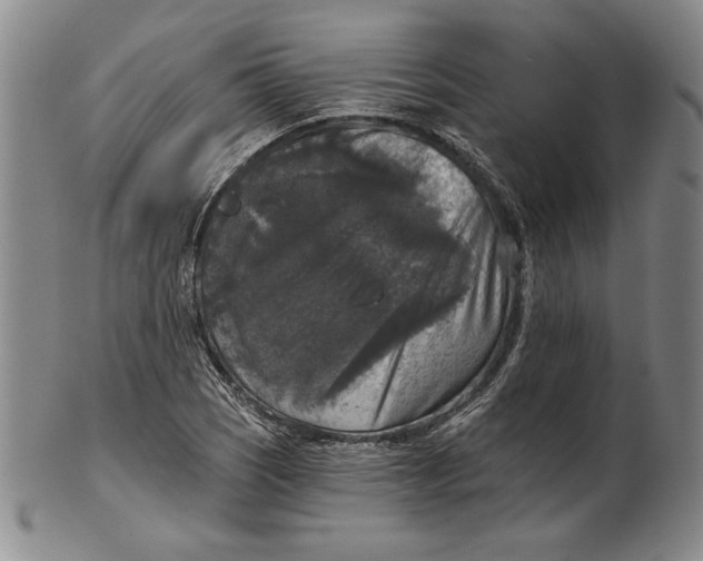 X0000101971121200808081545