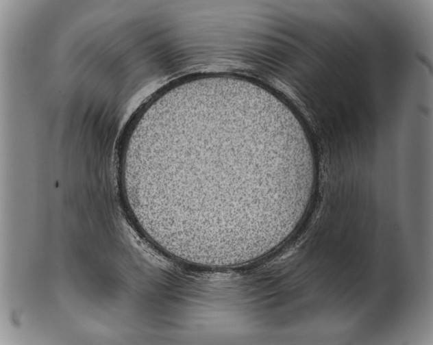 X0000101971122200808081545