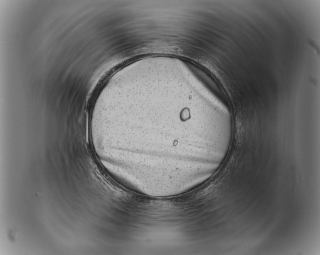 X0000101971123200808081545