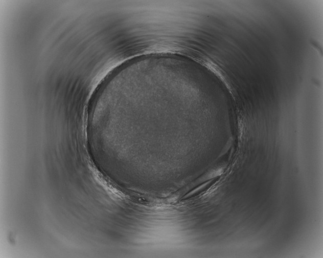 X0000101971124200808081545