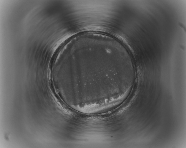 X0000101971125200808081545