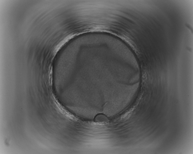 X0000101971126200808081545