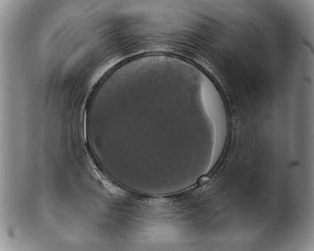 X0000101971127200808081545