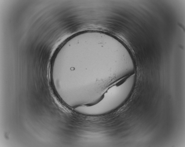 X0000101971128200808081545