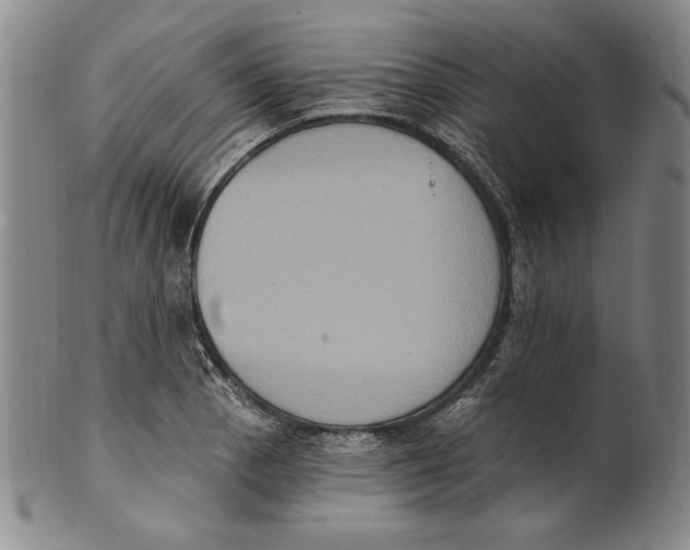 X0000101971129200808081545