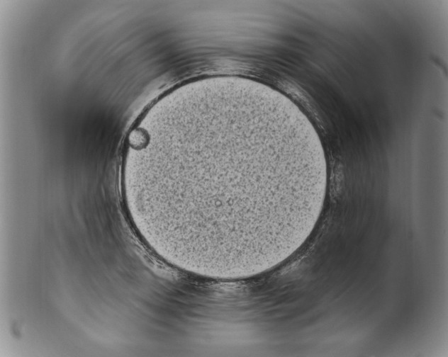 X0000101971130200808081545