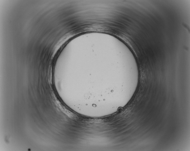 X0000101971131200808081545