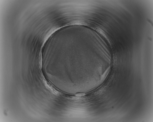 X0000101971132200808081545