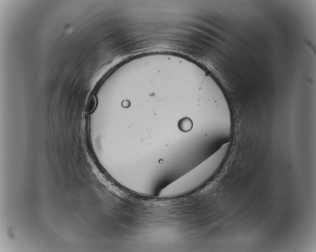 X0000101971134200808081545