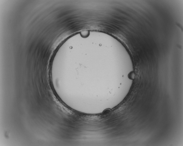 X0000101971135200808081545