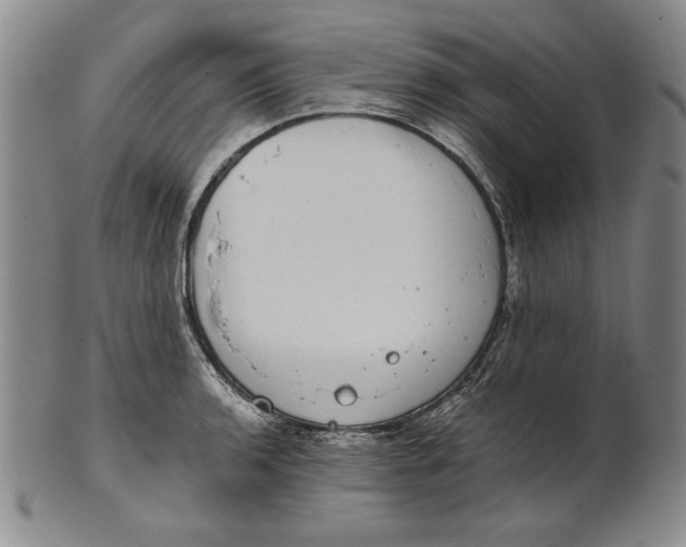 X0000101971136200808081545