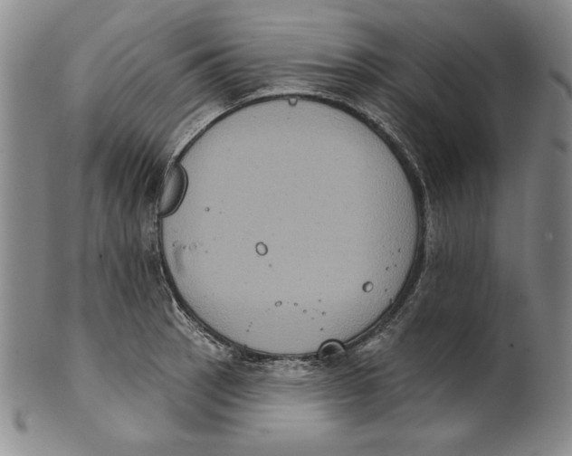 X0000101971137200808081545