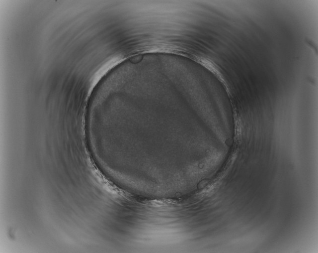 X0000101971138200808081545