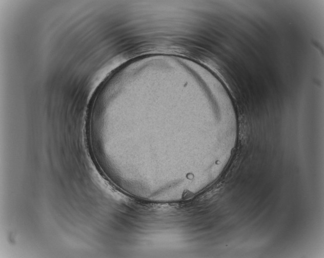 X0000101971139200808081545