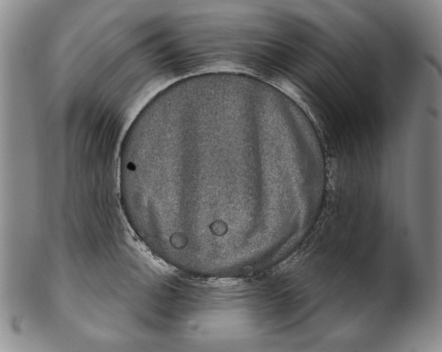 X0000101971140200808081545