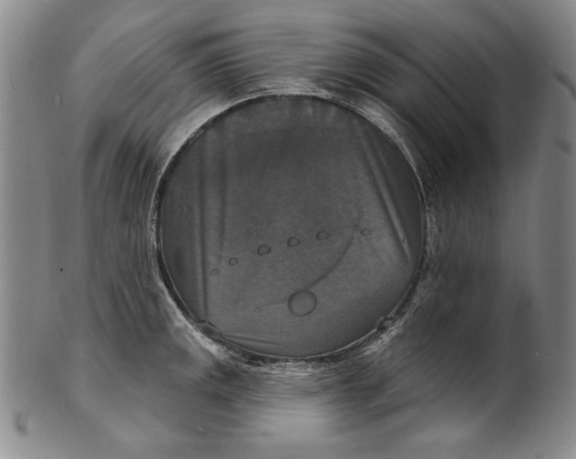 X0000101971141200808081545