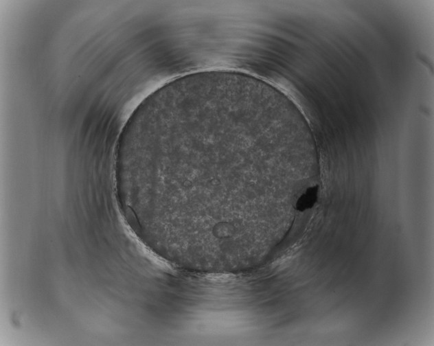 X0000101971142200808081545