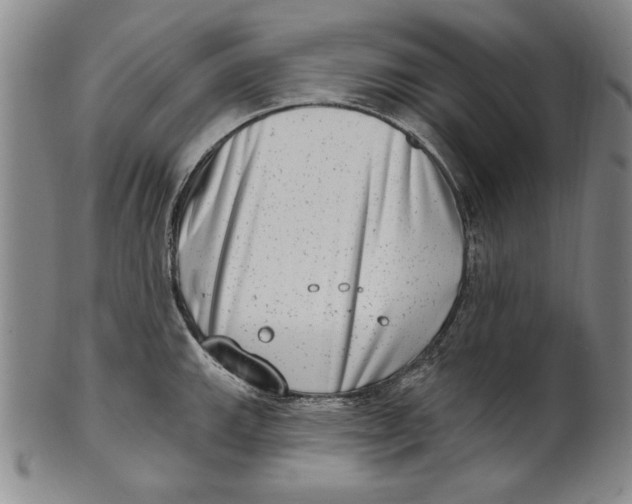 X0000101971143200808081545