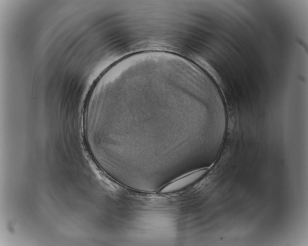 X0000101971144200808081545