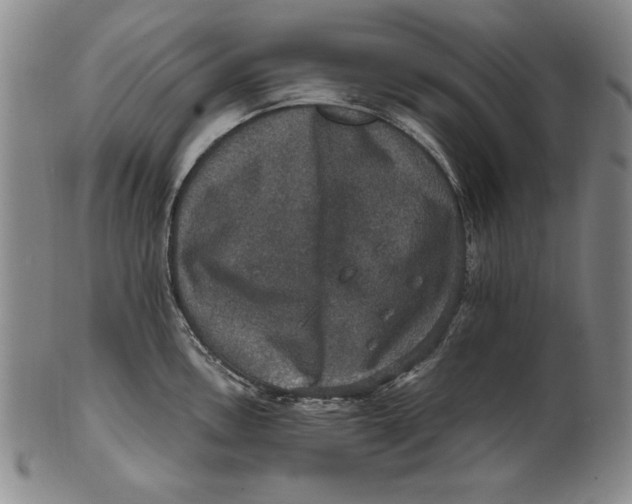 X0000101971146200808081545