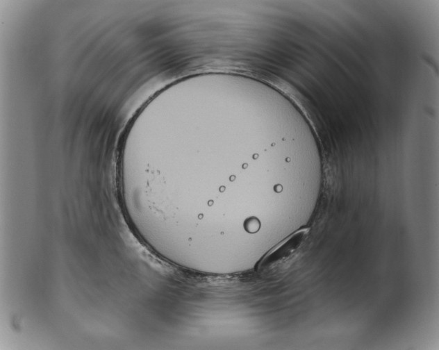 X0000101971147200808081545