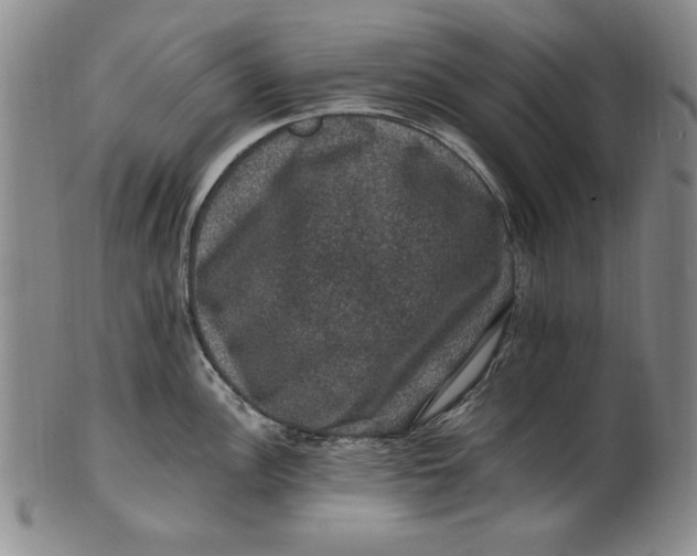 X0000101971148200808081545