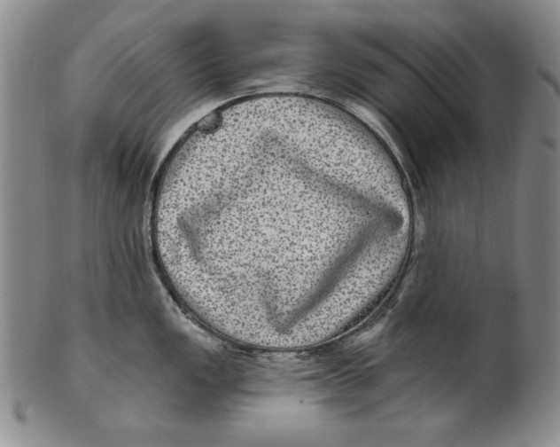 X0000101971149200808081545