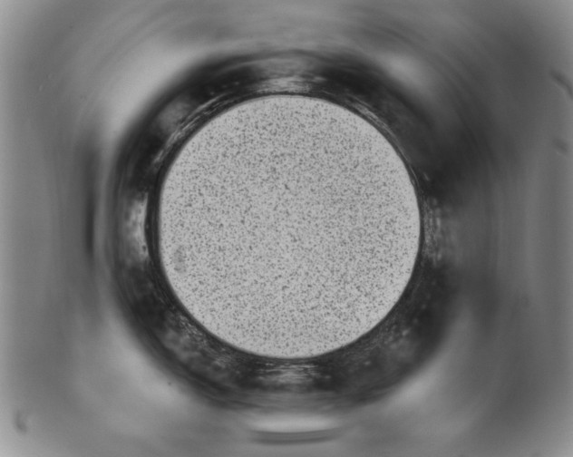 X0000101971150200808081545