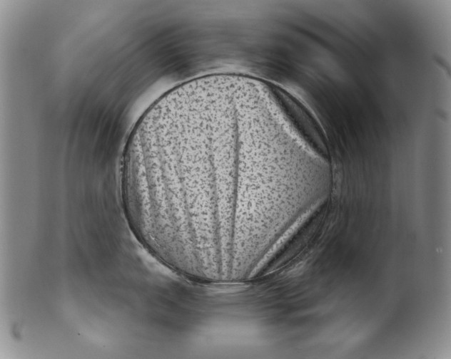 X0000101971151200808081545