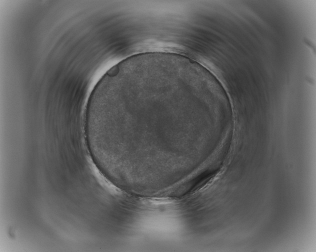 X0000101971152200808081545