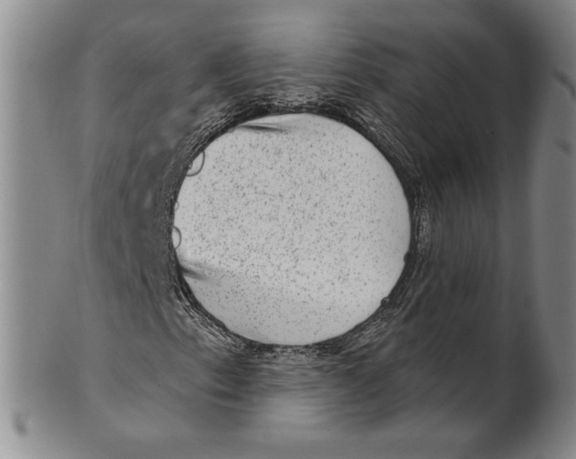 X0000101971153200808081545